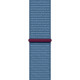 Смарт-часы Apple Watch Series 9 45mm Silver Aluminum Case with Winter Blue Sport Loop (MR9F3)