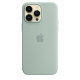 Силиконовый чехол Apple MagSafe для iPhone 14 Pro Max Succulent