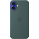 Чехол Apple Silicone Case with MagSafe для iPhone 16 Plus Lake Green