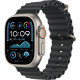 Смарт-часы Apple Watch Ultra 2 (2024) 49mm Natural Titanium Case with Black Ocean Band