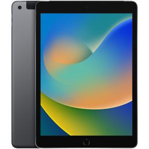 Планшет Apple iPad 10.2 (2021) Wi-Fi + Cellular 256Gb Space Grey (MK4E3RU/A)