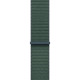 Ремешок Apple Watch 46mm Lake Green Sport Loop