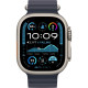 Смарт-часы Apple Watch Ultra 2 (2024) 49mm Natural Titanium Case with Navy Ocean Band