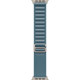 Смарт-часы Apple Watch Ultra 3 (2025) 49mm Natural Titanium Case with Light Blue Alpine Loop L