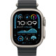 Смарт-часы Apple Watch Ultra 2 (2024) 49mm Natural Titanium Case with Black Ocean Band