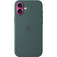 Чехол Apple Silicone Case with MagSafe для iPhone 16 Plus Lake Green