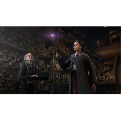 Игра Sony Hogwarts Legacy (Русские субтитры) (PS4/PS5)