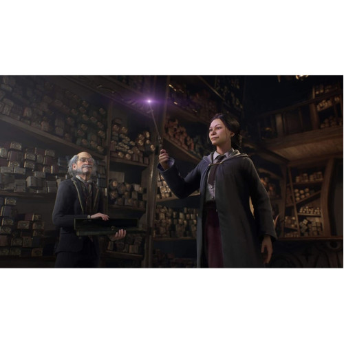Игра Sony Hogwarts Legacy (Русские субтитры) (PS5)