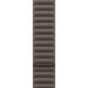Смарт-часы Apple Watch Series 10 46mm Silver Aluminum Case with Dark Taupe Magnetic Link M/L