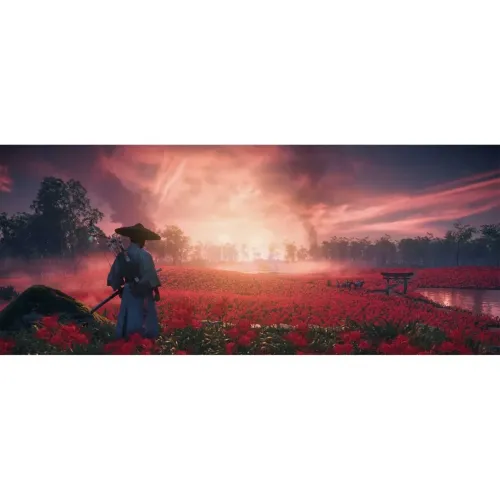 Игра Sony Ghost of Tsushima Director's Cut (Русская версия) (PS5)