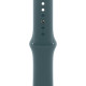 Ремешок Apple Watch 42mm Lake Green Sport Band S/M