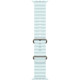 Смарт-часы Apple Watch Ultra 2 (2024) 49mm Natural Titanium Case with Ice Blue Ocean Band