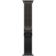 Смарт-часы Apple Watch Ultra 2 (2024) 49mm Black Titanium Case with Black Titanium Milanese Loop L