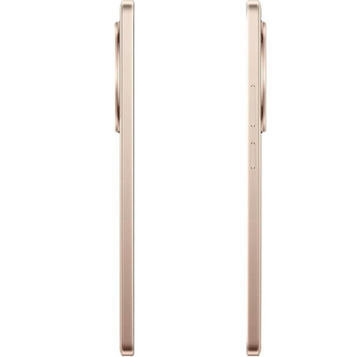 Смартфон Realme 13 Plus 5G 8/256Gb Victory Gold
