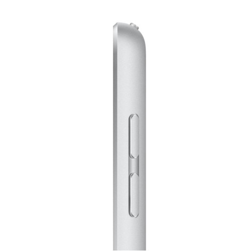 Планшет Apple iPad 10.2 (2021) Wi-Fi 256Gb Silver (MK2P3RU/A)