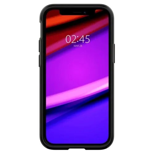 Чехол Spigen Neo Hybrid для iPhone 12 Mini (ACS01754) Black