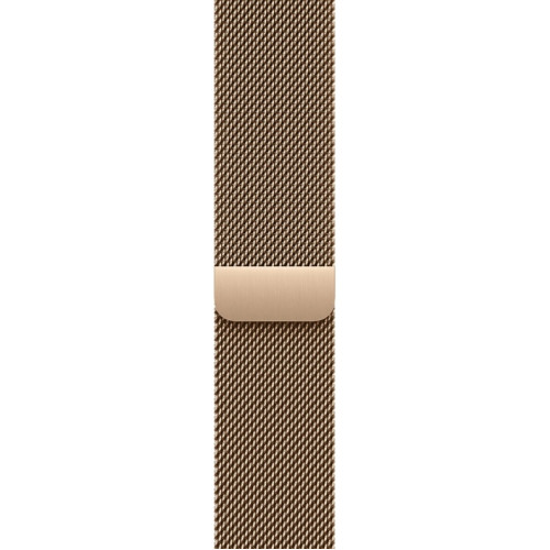 Смарт-часы Apple Watch Series 11 42mm Natural Titanium Case with Gold Milanese Loop