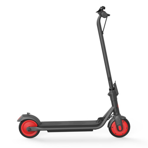 Электросамокат Ninebot KickScooter C20 Gray