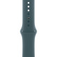 Смарт-часы Apple Watch Series 10 42mm Rose Gold Aluminum Case with Lake Green Sport Band M/L
