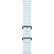 Смарт-часы Apple Watch Ultra 2 (2024) 49mm Black Titanium Case with Ice Blue Ocean Band
