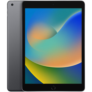 Планшет Apple iPad 10.2 (2021) Wi-Fi 256Gb Space Grey (MK2N3RU/A)