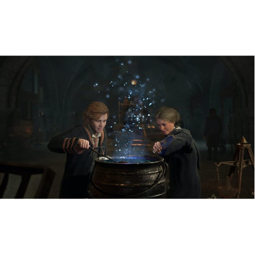 Игра Sony Hogwarts Legacy (Русские субтитры) (PS5)