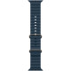 Смарт-часы Apple Watch Ultra 2 49mm Titanium Case with Blue Ocean Band