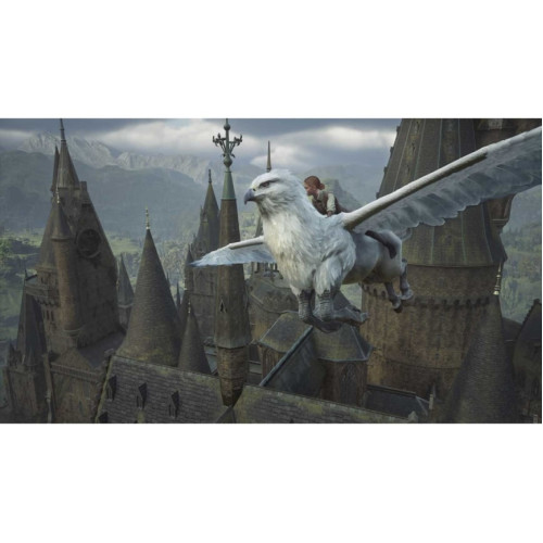 Игра Nintendo Hogwarts Legacy (Русские субтитры) (Nintendo Switch 2)