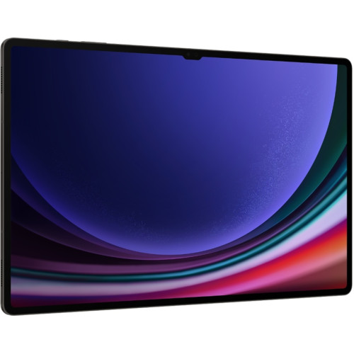 Планшет Samsung Galaxy Tab S9 Ultra LTE 16/1Tb Graphite EAC (SM-X916B)