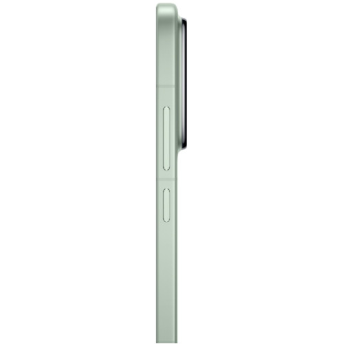Смартфон Xiaomi 15 12/256Gb Green EAC